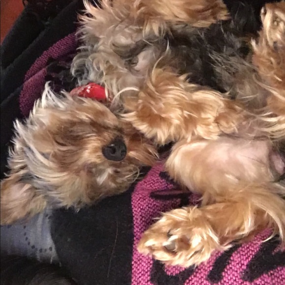 Welcome - Picture 4 of 8